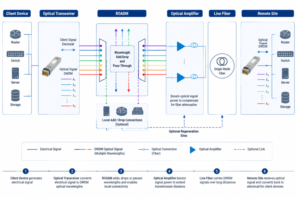 DWDM transport architecture diagram showing client device, transceiver, ROADM, amplifier, and line fiber