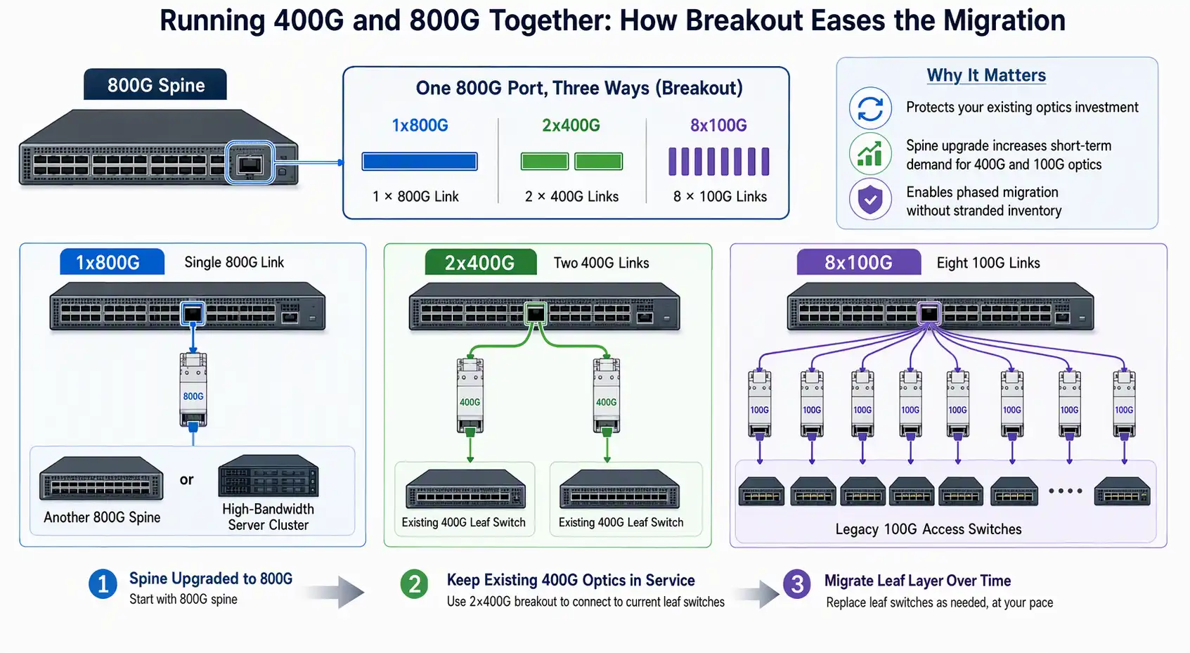 Running 400G and 800G Together